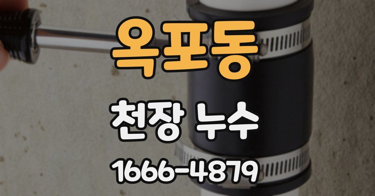 옥포동 천장 누수