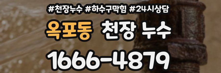 옥포동 천장 누수