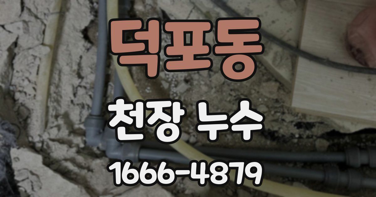 덕포동 천장 누수