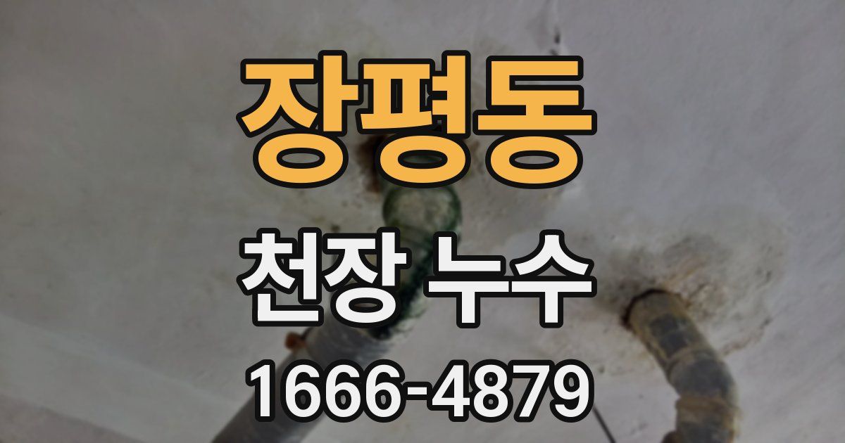 장평동 천장 누수