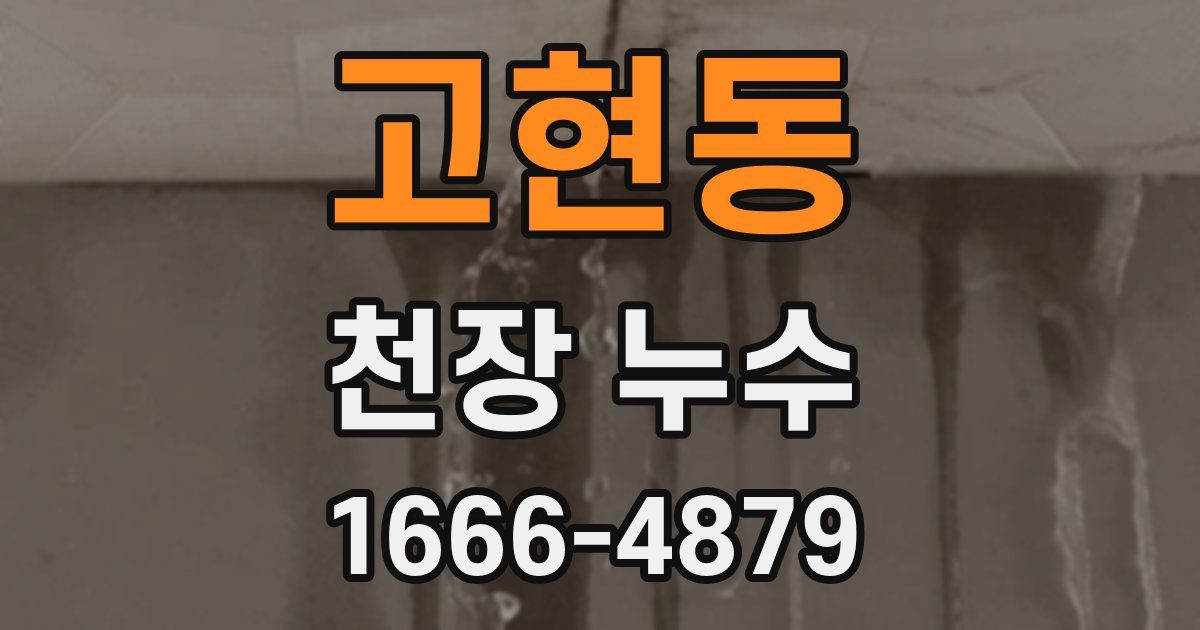 고현동 천장 누수
