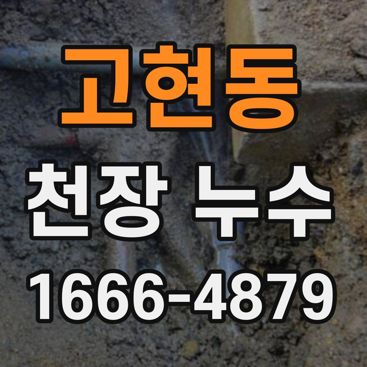 고현동 천장 누수