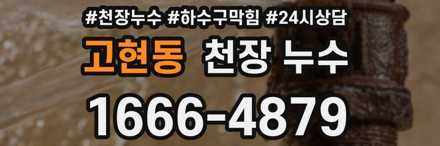 고현동 천장 누수