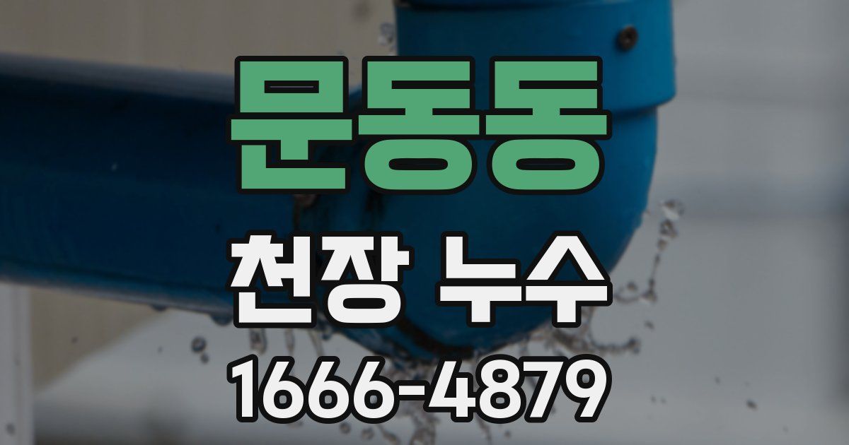 문동동 천장 누수
