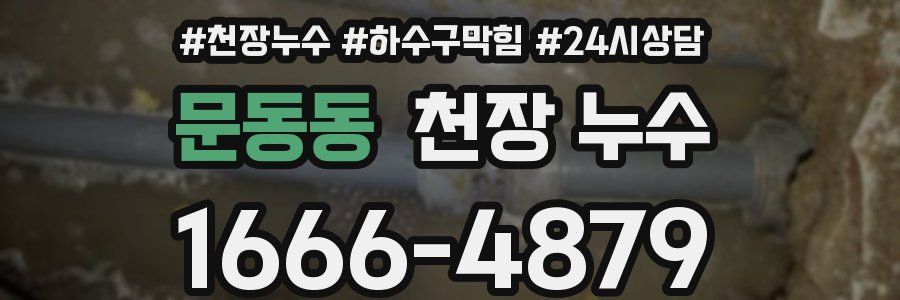 문동동 천장 누수