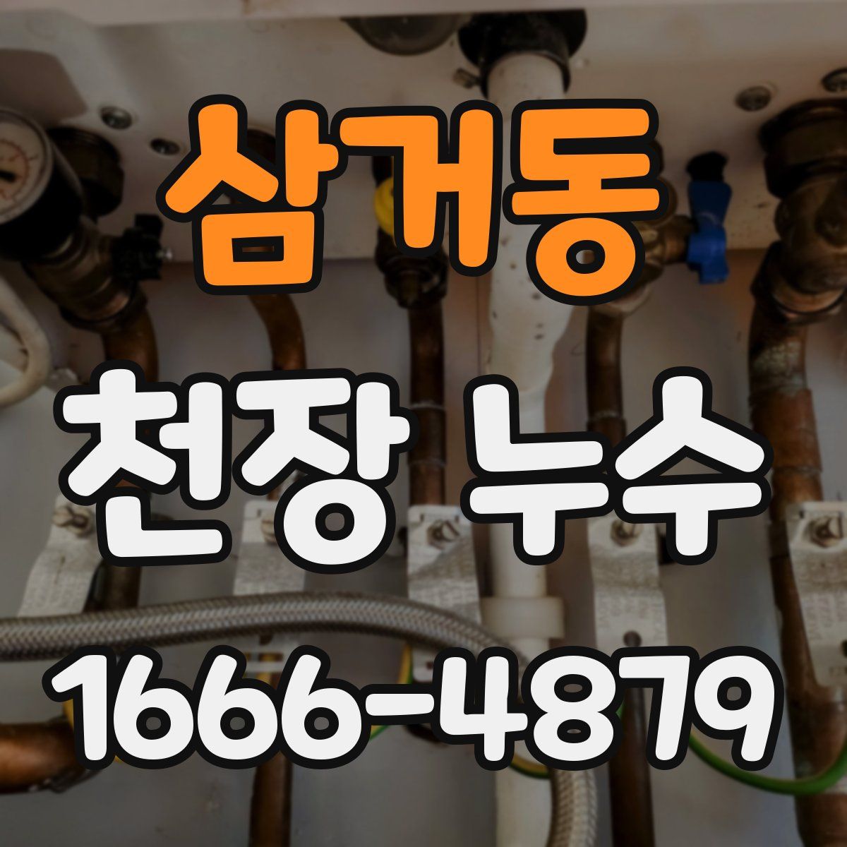 삼거동 천장 누수