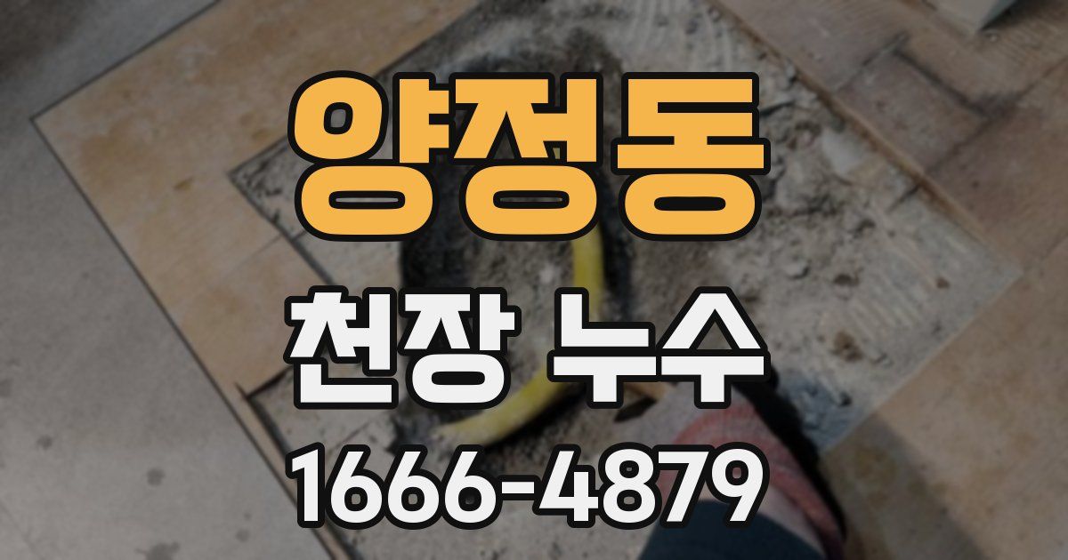 양정동 천장 누수