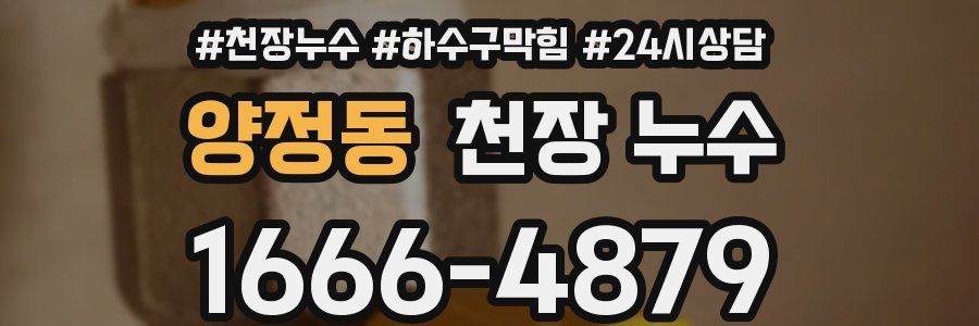 양정동 천장 누수