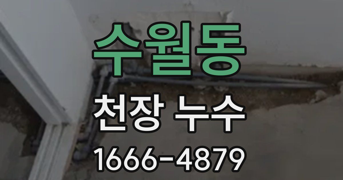 수월동 천장 누수