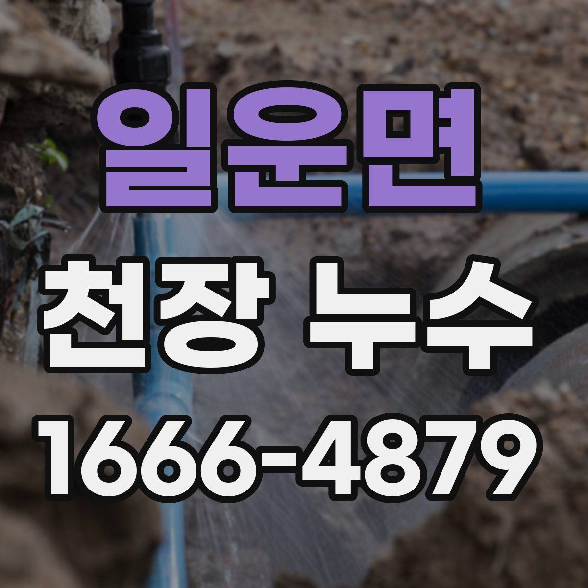 일운면 천장 누수