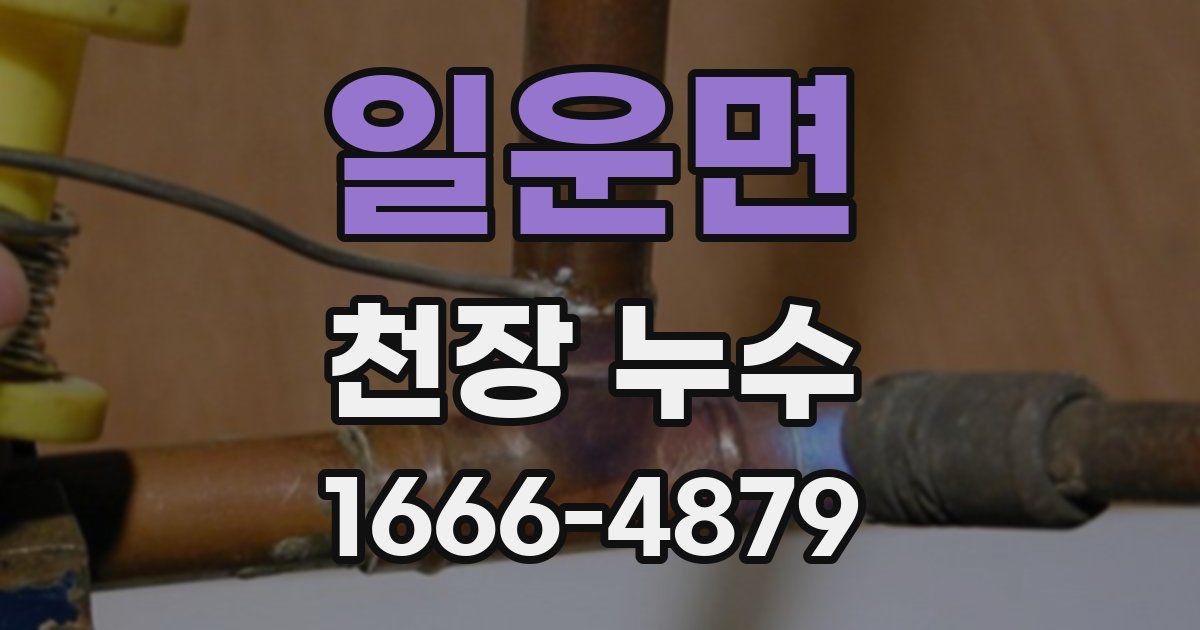 일운면 천장 누수