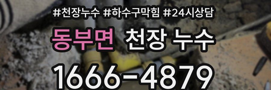 동부면 천장 누수