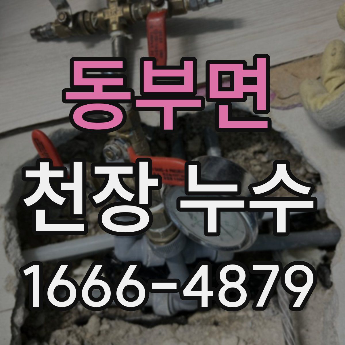 동부면 천장 누수