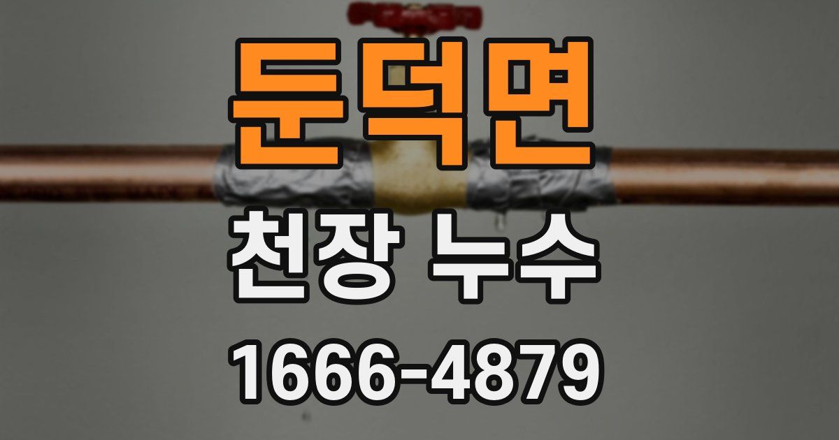 둔덕면 천장 누수