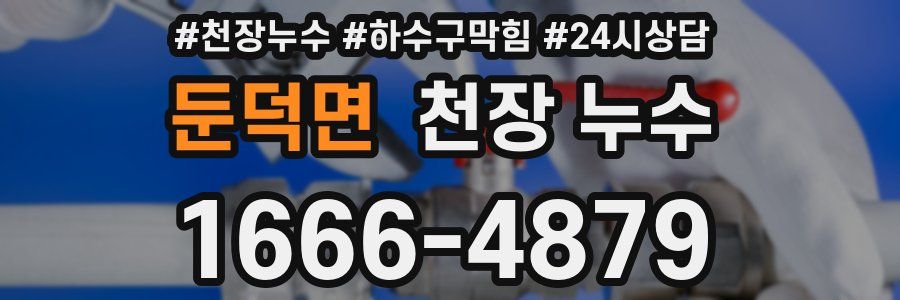 둔덕면 천장 누수