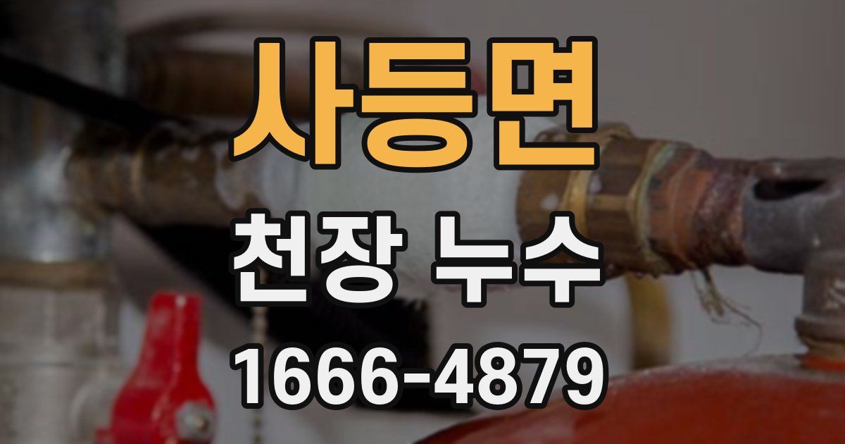 사등면 천장 누수