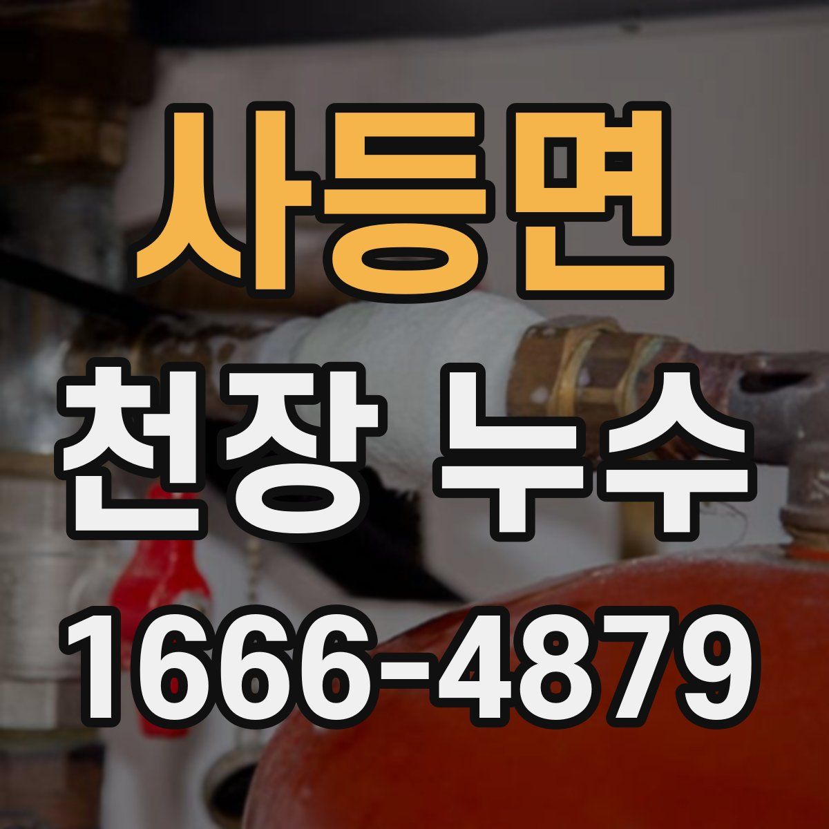 사등면 천장 누수