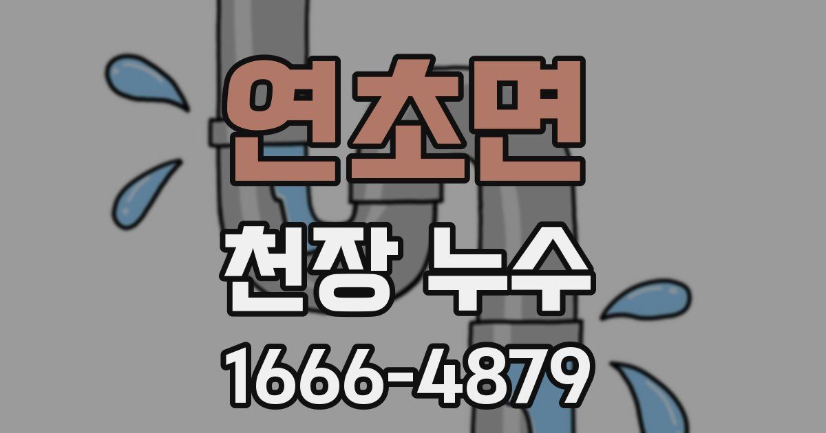 연초면 천장 누수