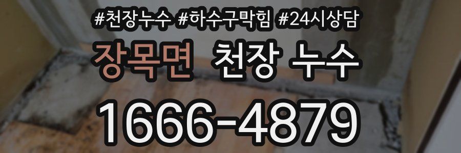 장목면 천장 누수