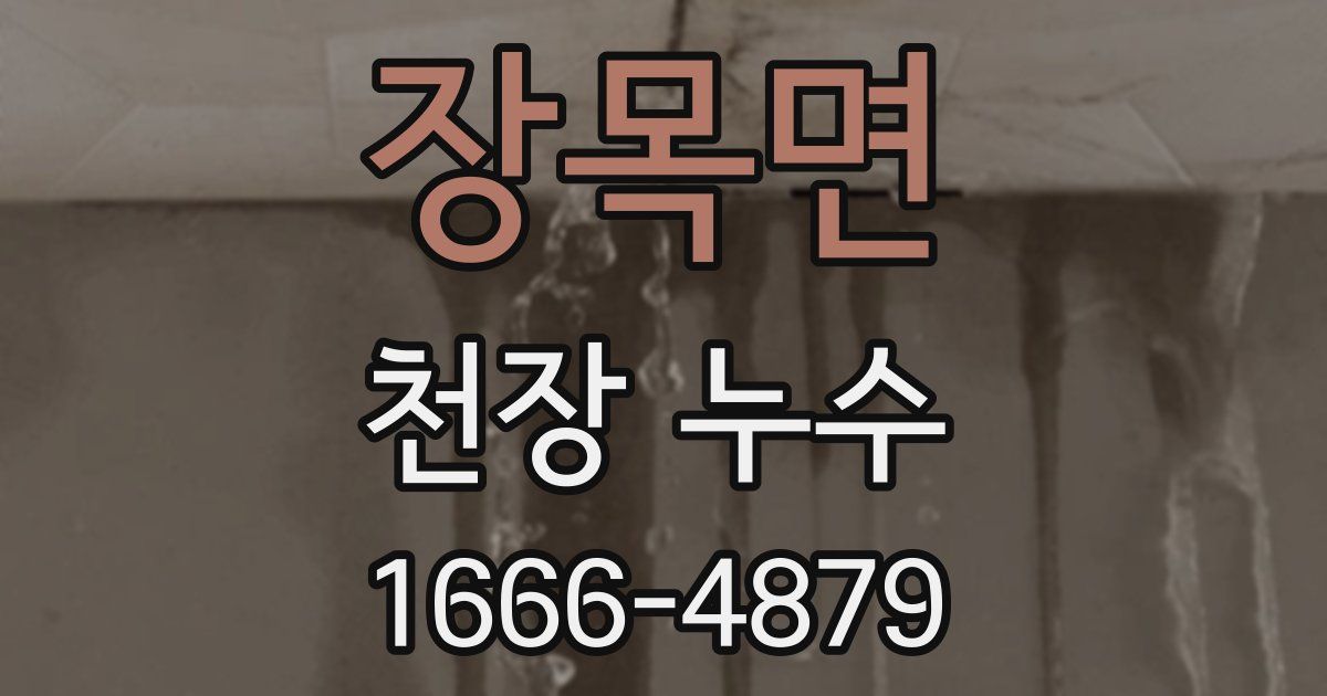 장목면 천장 누수