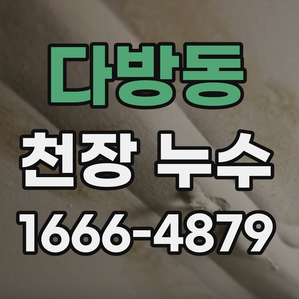 다방동 천장 누수