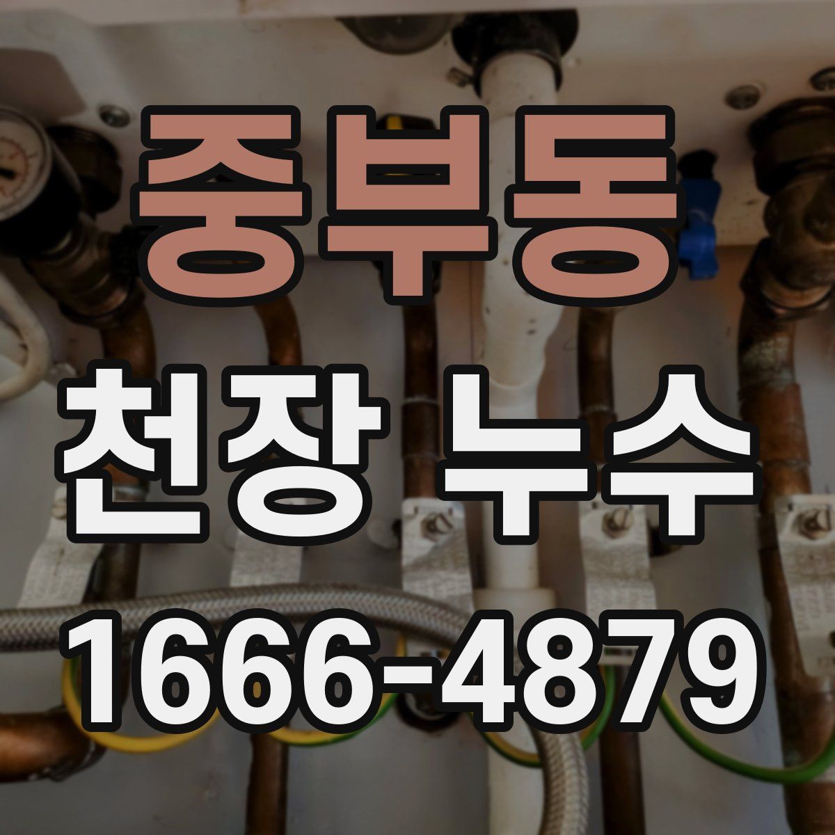 중부동 천장 누수