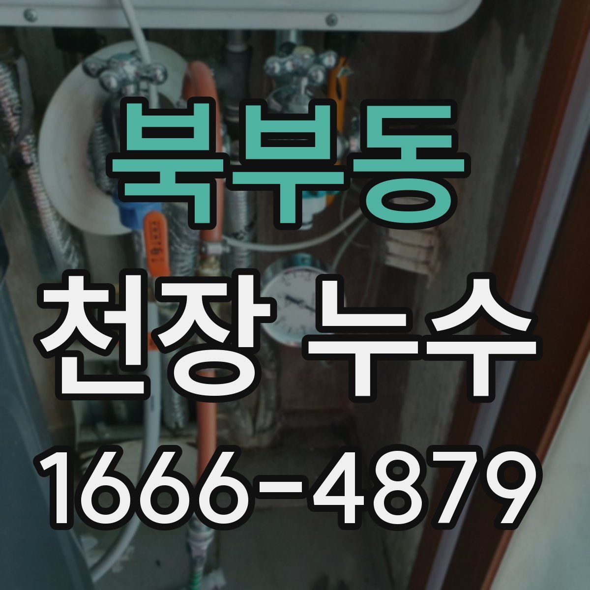 북부동 천장 누수