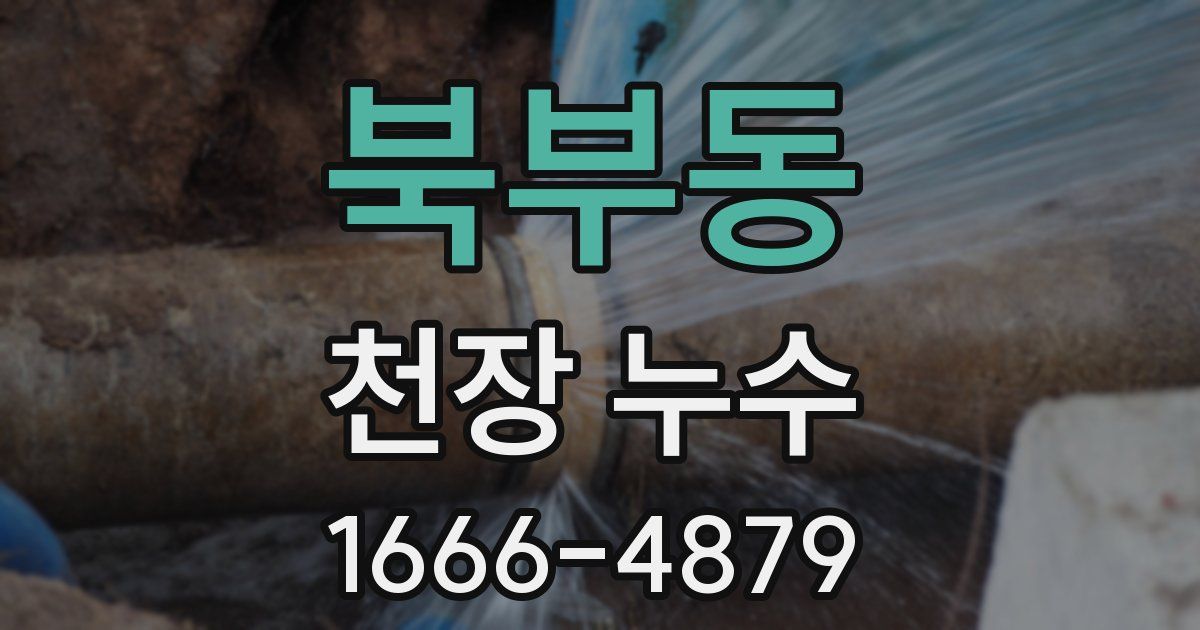 북부동 천장 누수