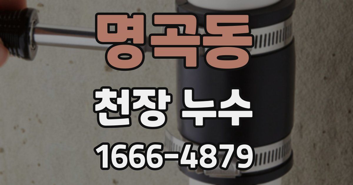 명곡동 천장 누수