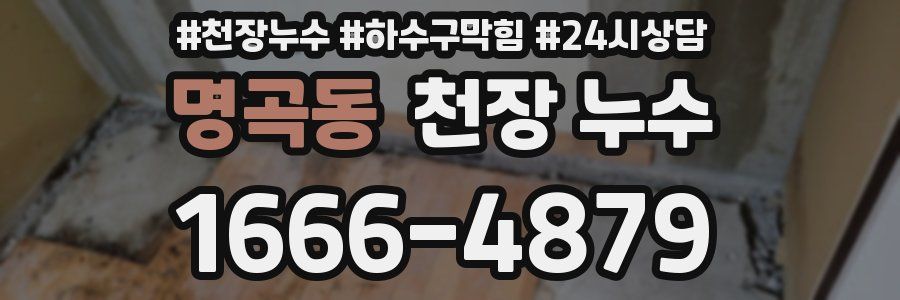 명곡동 천장 누수