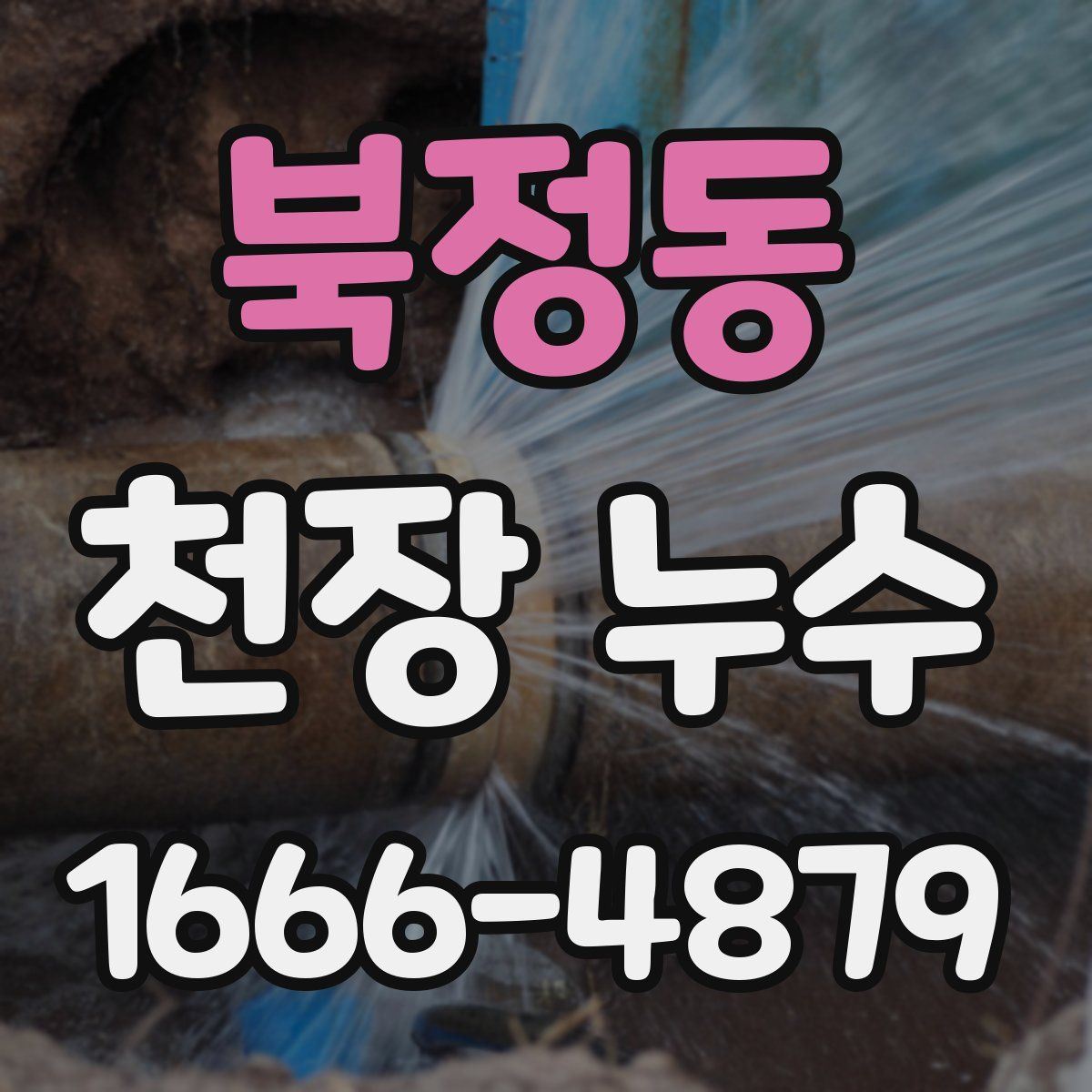 북정동 천장 누수