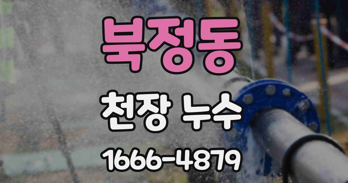 북정동 천장 누수