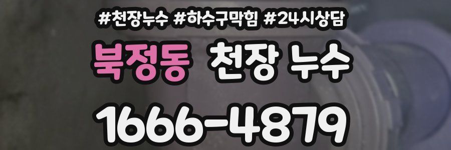 북정동 천장 누수