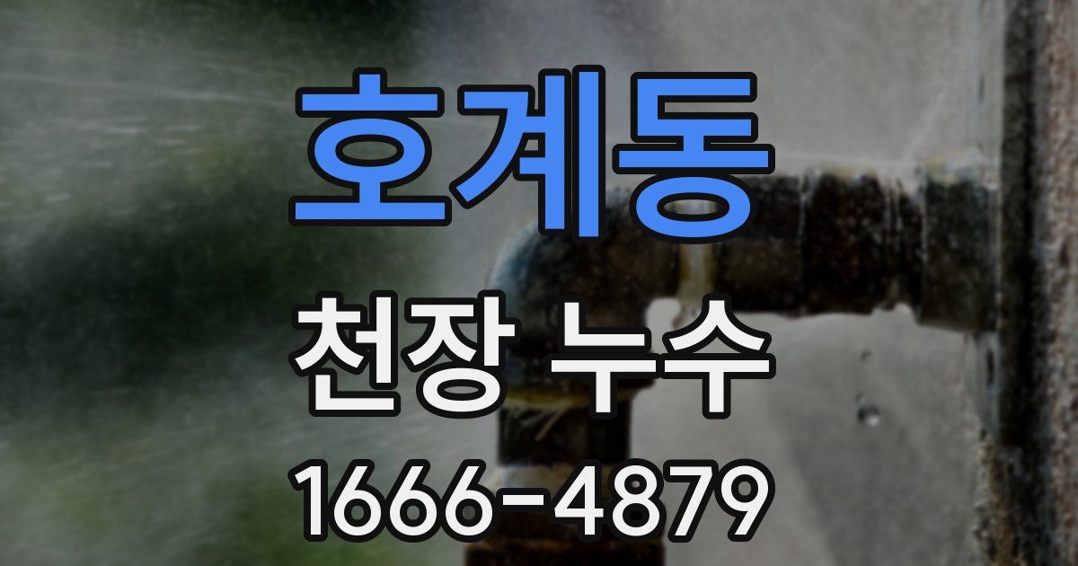 호계동 천장 누수