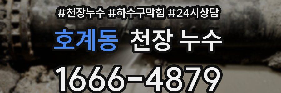 호계동 천장 누수