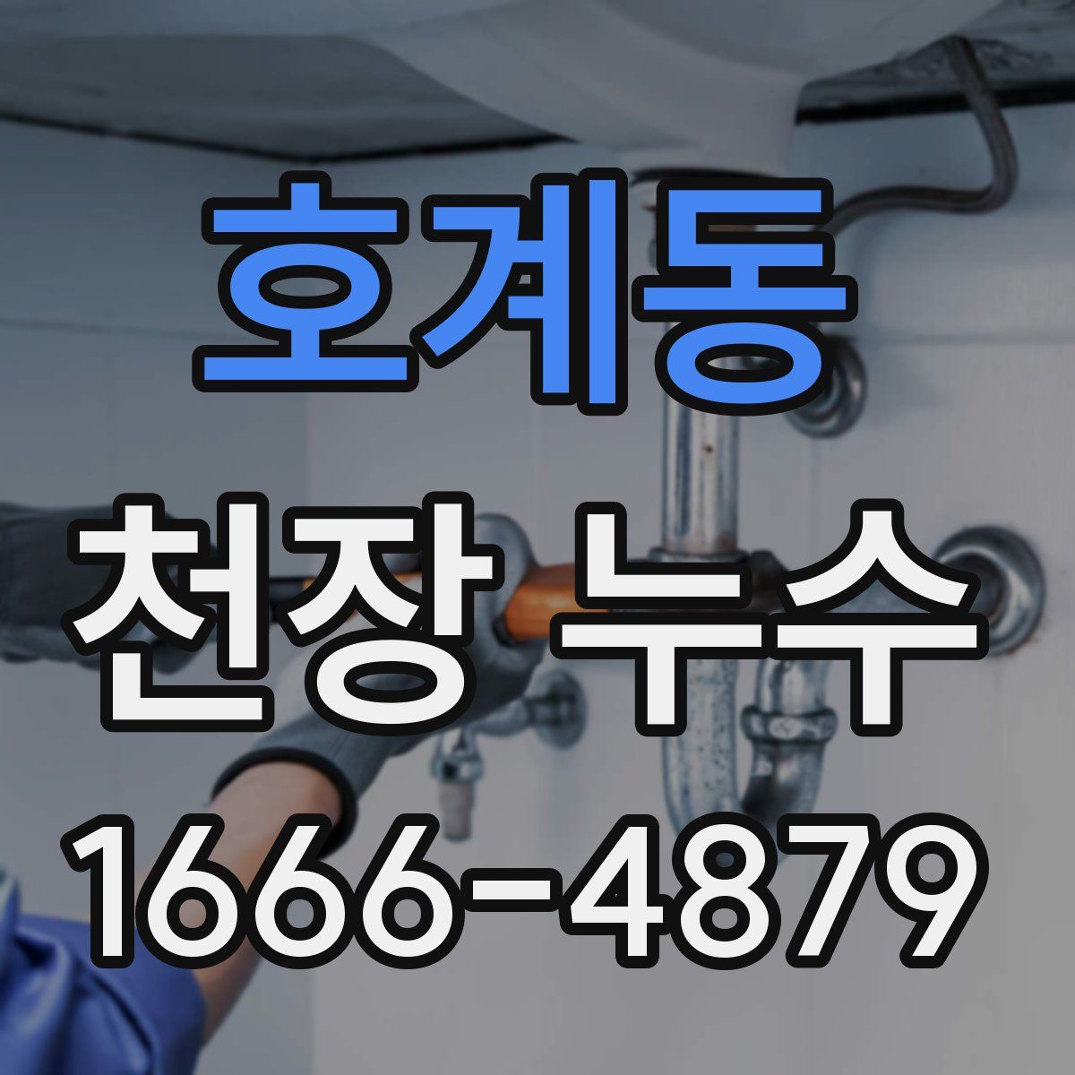 호계동 천장 누수