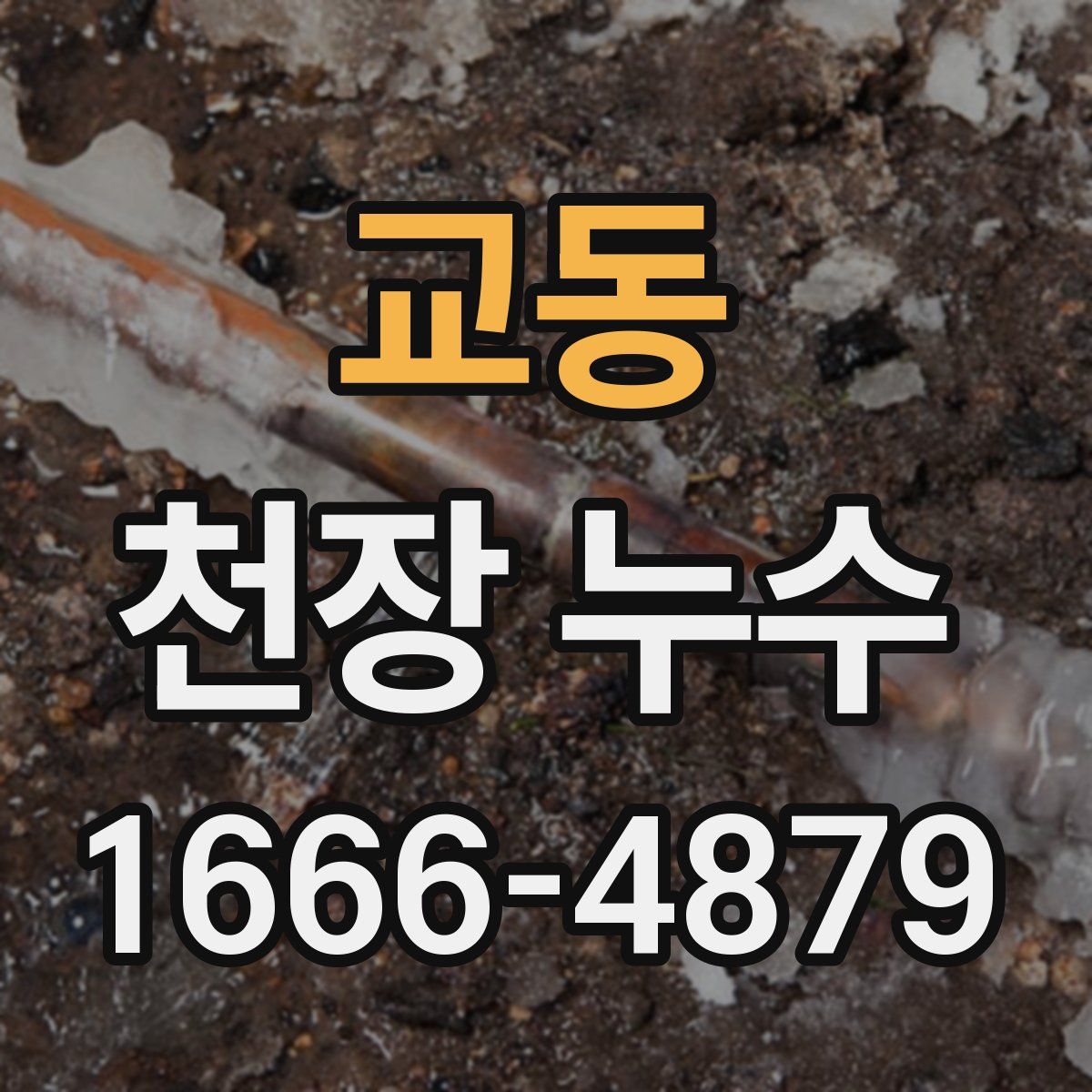 교동 천장 누수