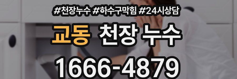 교동 천장 누수