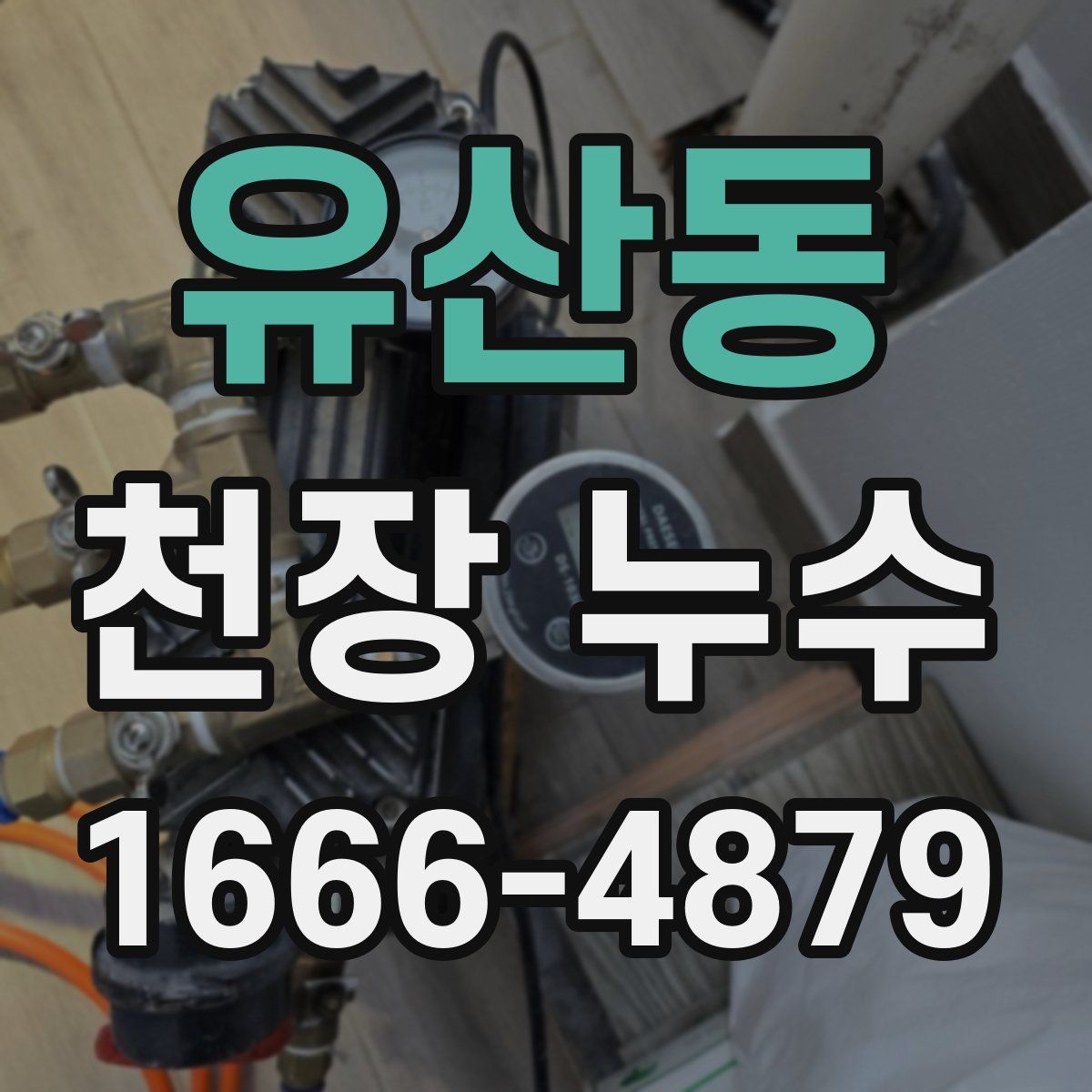 유산동 천장 누수