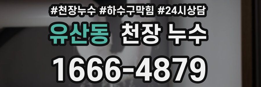 유산동 천장 누수