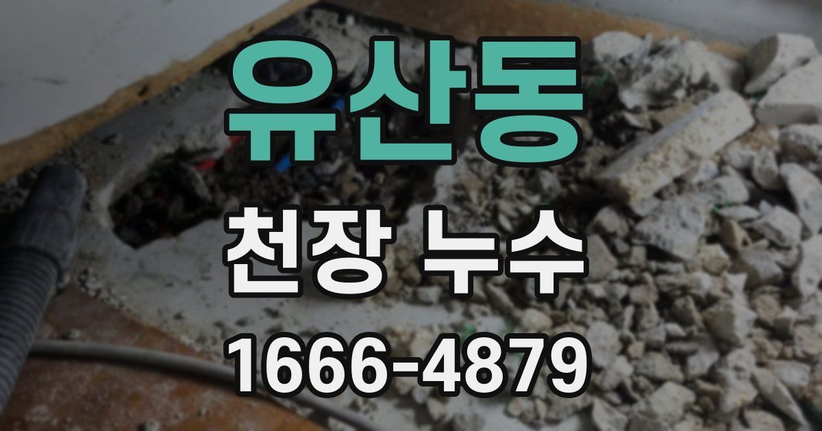 유산동 천장 누수