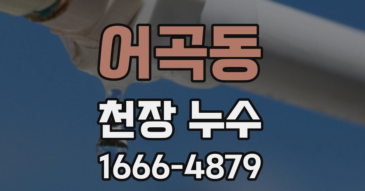 어곡동 천장 누수