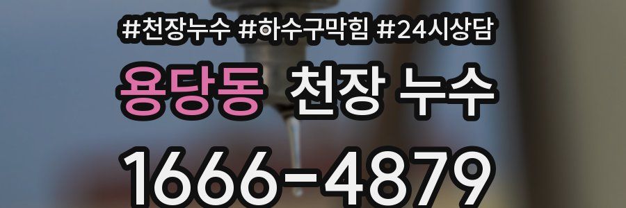 용당동 천장 누수