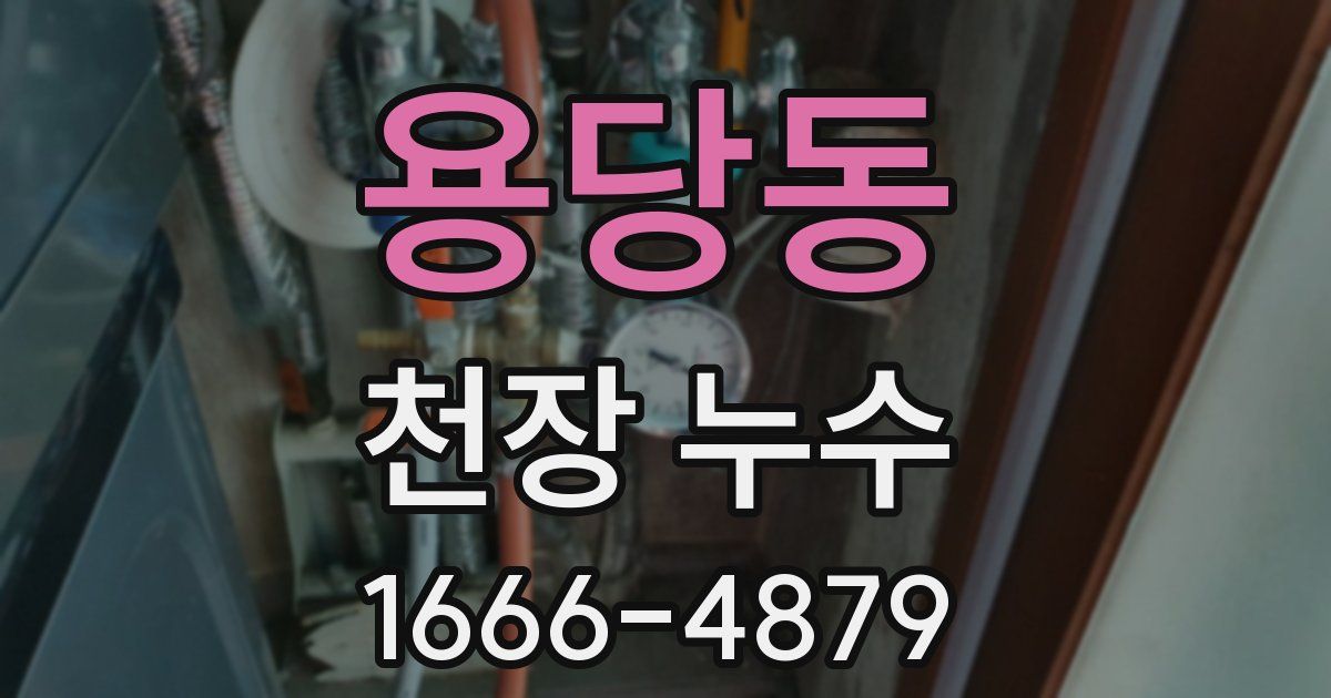 용당동 천장 누수