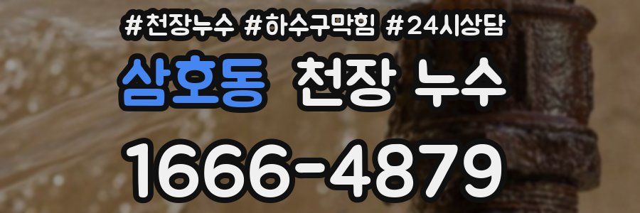 삼호동 천장 누수