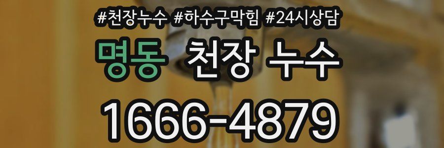 명동 천장 누수