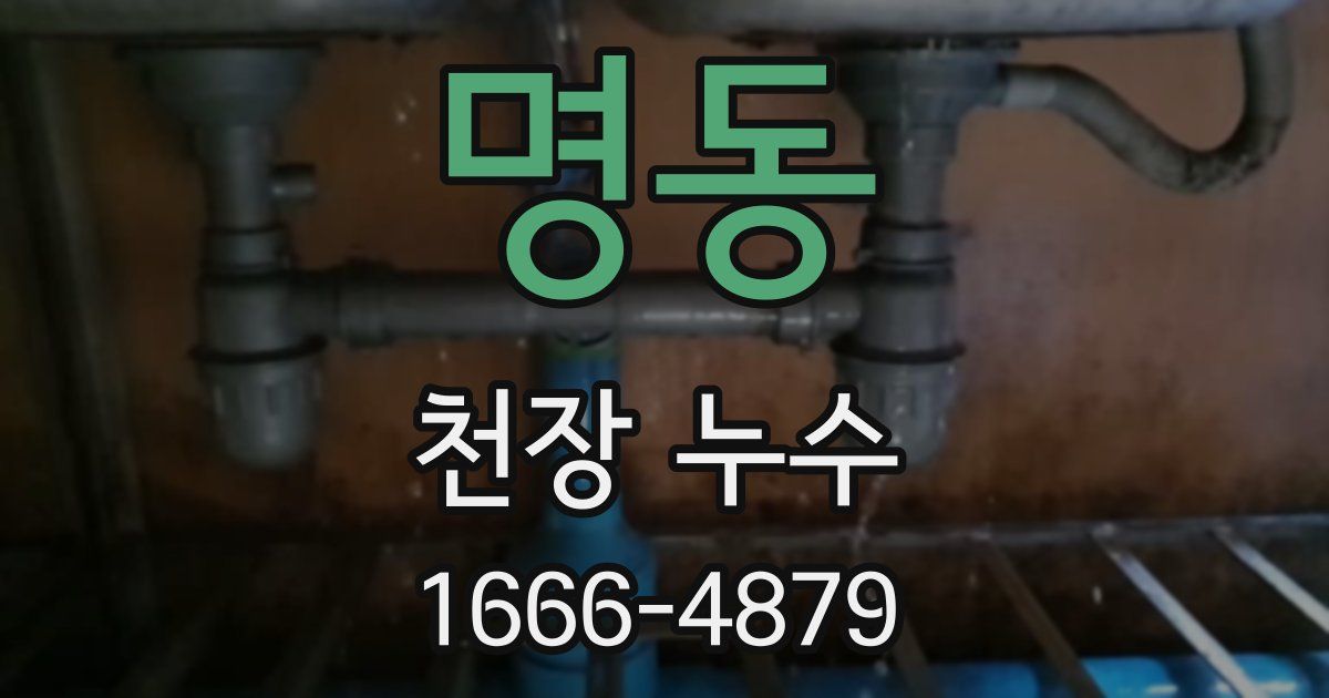 명동 천장 누수