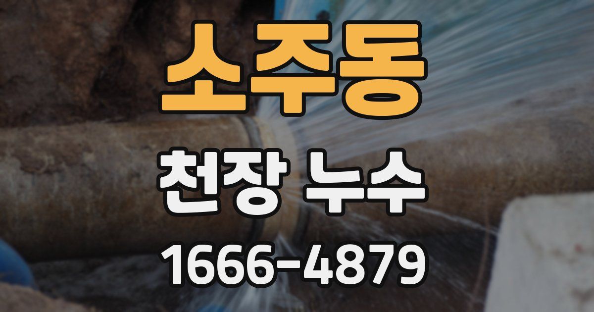 소주동 천장 누수