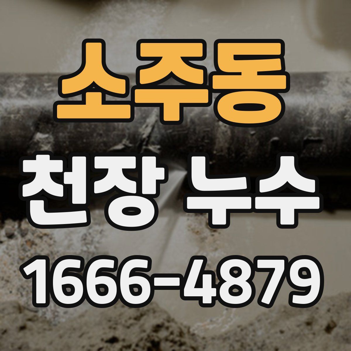 소주동 천장 누수