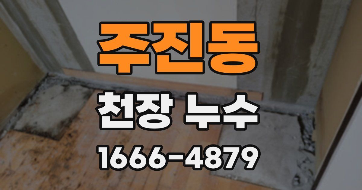 주진동 천장 누수